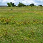 Sfeer - Koksijde ~ Doornpanne (West-Vlaanderen) - 05-07-2020 ©Steve Wullaert 