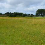 Sfeer - Koksijde ~ Doornpanne (West-Vlaanderen) - 05-07-2020 ©Steve Wullaert 