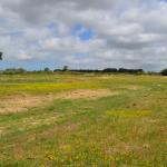 Sfeer - Koksijde ~ Doornpanne (West-Vlaanderen) - 05-07-2020 ©Steve Wullaert 