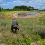 Sfeer - Koksijde ~ Doornpanne (West-Vlaanderen) - 05-07-2020 ©Steve Wullaert 