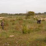 Sfeer - Koksijde ~ Doornpanne (West-Vlaanderen) 05-10-2019 ©Steve Wullaert 