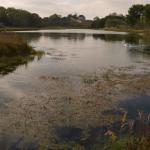 Sfeer - Koksijde ~ Doornpanne (West-Vlaanderen) 05-10-2019 ©Steve Wullaert 