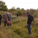 Sfeer - Koksijde ~ Doornpanne (West-Vlaanderen) 05-10-2019 ©Steve Wullaert 