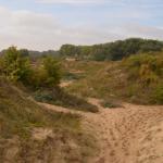 Sfeer - Koksijde ~ Doornpanne (West-Vlaanderen) 05-10-2019 ©Steve Wullaert 