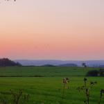 Sfeer - Krewinkel ~ Schartenknopf (Luik) 20-07-2021 ©Steve Wullaert