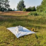 Sfeer - Krewinkel ~ Schartenknopf (Luik) 20-07-2021 ©Steve Wullaert