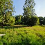 Sfeer - Krewinkel ~ Schartenknopf (Luik) 20-07-2021 ©Steve Wullaert