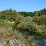 Sfeer - Marche-en-Famenne ~ Propriété privé (Namen) - 20-09-2020 ©Steve Wullaert 