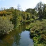 Sfeer - Marche-en-Famenne ~ Propriété privé (Namen) - 20-09-2020 ©Steve Wullaert 