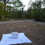 Sfeer - Marche-en-Famenne ~ Propriété privé (Namen) - 20-09-2020 ©Steve Wullaert 