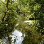 Sfeer - Neerpelt ~ Het Hageven (Limburg) - 05-09-2020 ©Steve Wullaert 