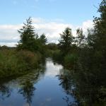 Sfeer - Neerpelt ~ Het Hageven (Limburg) - 05-09-2020 ©Steve Wullaert 