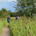Sfeer - Neerpelt ~ Het Hageven (Limburg) - 05-09-2020 ©Steve Wullaert 