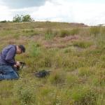 Sfeer - Neerpelt ~ Het Hageven (Limburg) - 05-09-2020 ©Steve Wullaert 