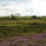 Sfeer - Neerpelt ~ Het Hageven (Limburg) - 05-09-2020 ©Steve Wullaert 