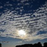 Sfeer - Neerpelt ~ Het Hageven (Limburg) - 05-09-2020 ©Steve Wullaert 