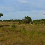 Sfeer - Neerpelt ~ Het Hageven (Limburg) - 05-09-2020 ©Steve Wullaert