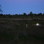 Sfeer - Neerpelt ~ Het Hageven (Limburg) - 05-09-2020 ©Steve Wullaert