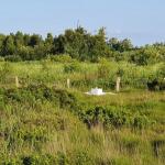 Sfeer - Neerpelt ~ Het Hageven (Limburg) 17-07-2021 ©Steve Wullaert