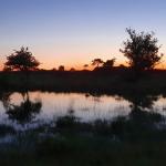 Sfeer - Neerpelt ~ Het Hageven (Limburg) 17-07-2021 ©Steve Wullaert