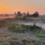 Sfeer - Neerpelt ~ Het Hageven (Limburg) 17-07-2021 ©Steve Wullaert