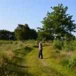 Sfeer - Neerpelt ~ Het Hageven (Limburg) 17-07-2021 ©Steve Wullaert