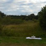 Sfeer - Vance ~ Marais de Vance (Luxemburg) - 29-08-2020 ©Steve Wullaert 