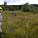 Sfeer - Vance ~ Marais de Vance (Luxemburg) - 29-08-2020 ©Steve Wullaert 