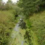 Sfeer - Vance ~ Marais de Vance (Luxemburg) - 29-08-2020 ©Steve Wullaert 