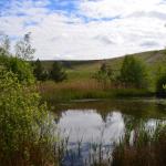 Sfeer - Waterschei ~ Mijnterril - Klaverberg (Genk - As) Pro. Limburg 13-05-2017 ©Steve Wullaert 